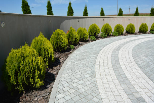 Best Driveway Paving Contractor  in Franklin, KY